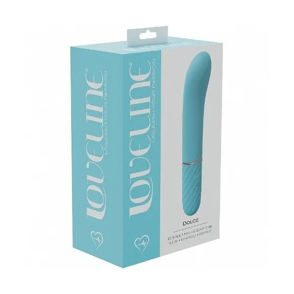 Dolce – 10 Speed Vibrating Mini Wand Blue