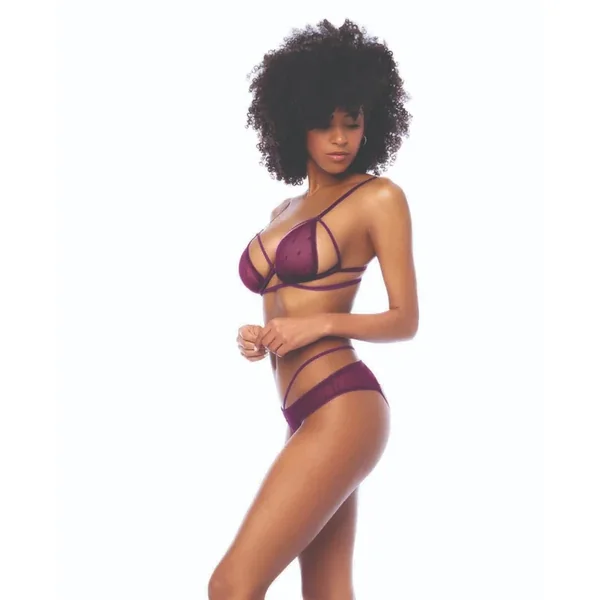 Dot Mesh Underwire Top w/Open Back Panty – Wine L/XL