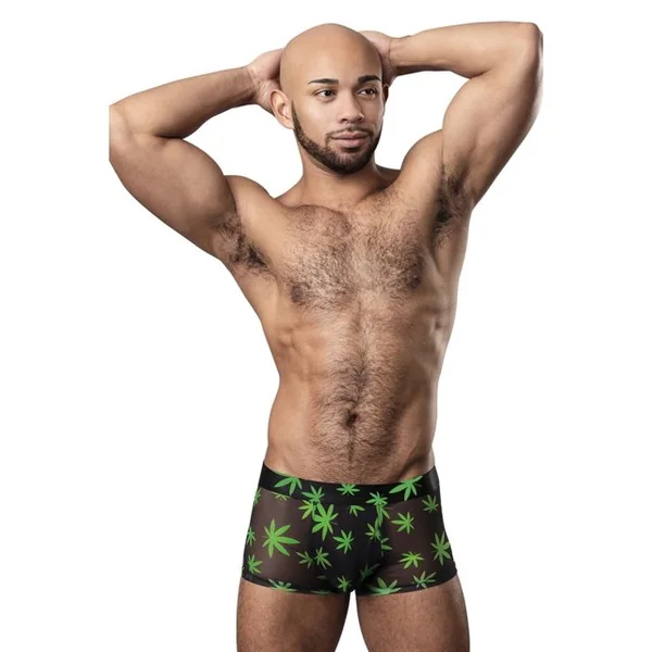 HAZY DAYZ POUCH SHORT POTLEAF XL