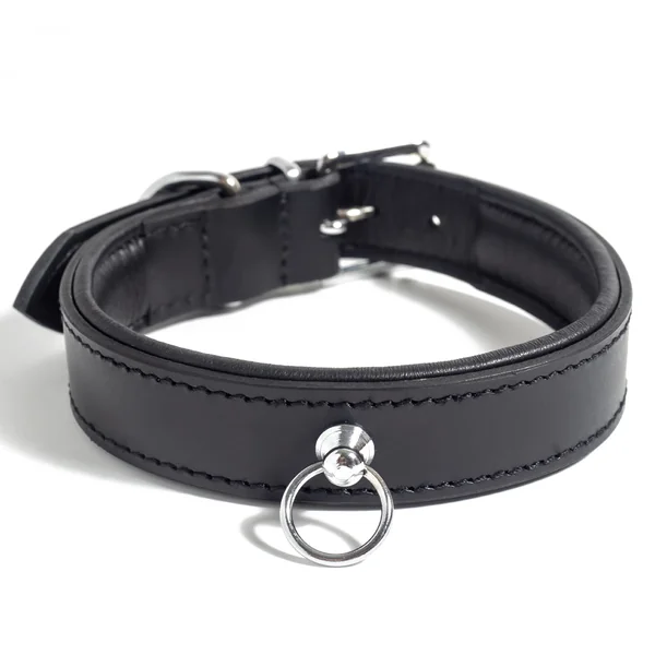 Zorba Padded Leather Collar With O-Ring